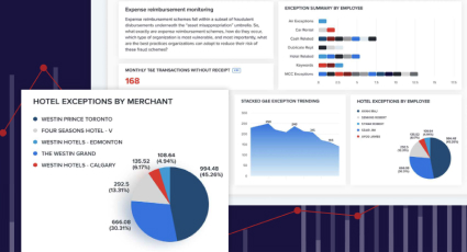 Audit Guide Image