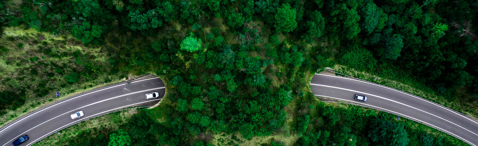 Woodland landscape with highway through the middle, illustrating some of the factors to consider when identifying your ESG metrics.